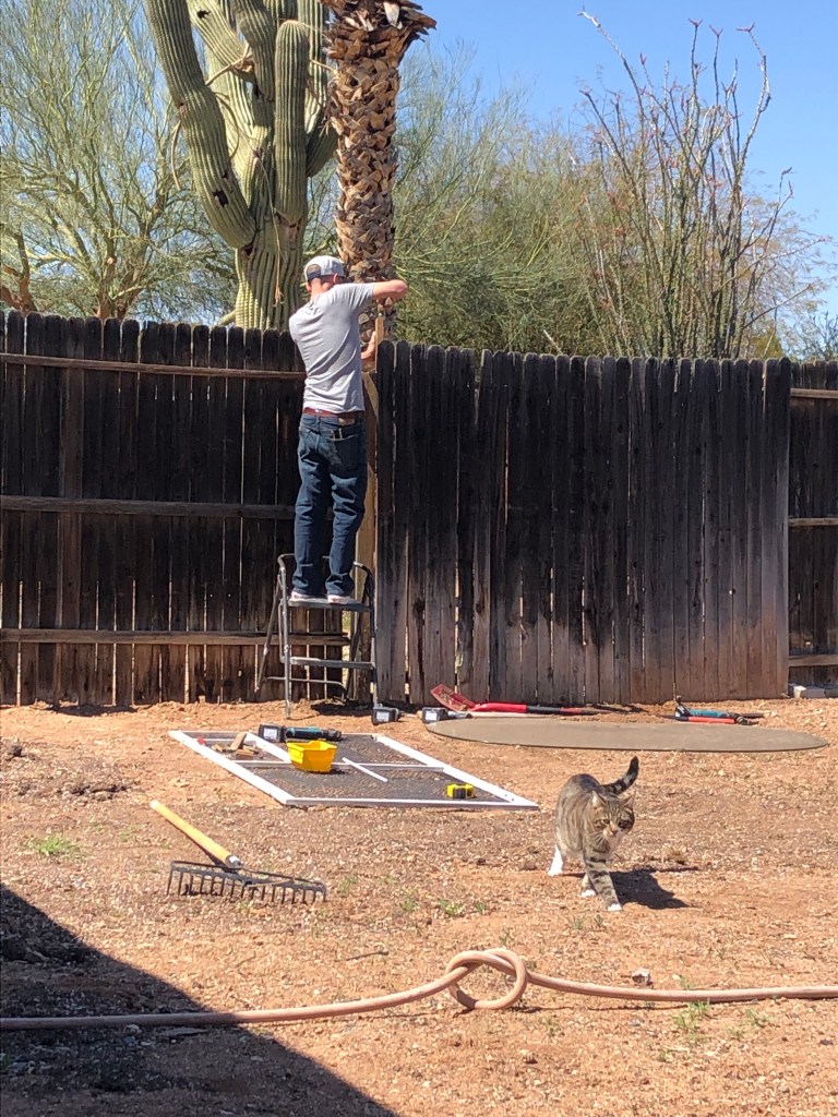 Fence-cat-fix